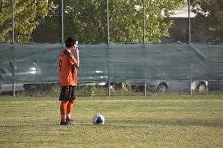 Από έναν βαθμό Νέα Πολιτεία και Γόννοι