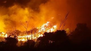 Τεράστιες διαστάσεις έχει λάβει η πυρκαγιά στην Πεντέλη