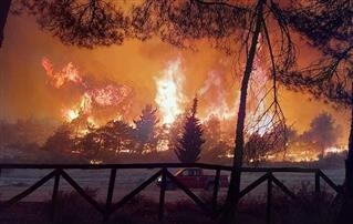 Φωτιές σε Εβρο και Ηλεία