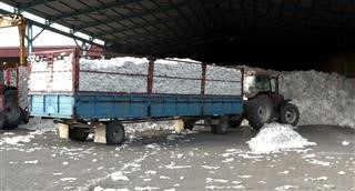 Mειωμένη κατά 30% η παραγωγή βαμβακιού