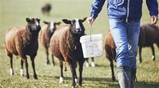  Άμεση πληρωμή προκαταβολών στους πληγέντες αγρότες