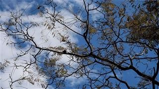  Με τι καιρό θα κάνουμε Παραμονή και Πρωτοχρονιά
