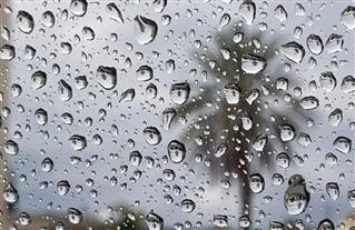  Με ομπρέλα στις κάλπες της Κυριακής 21 Μαΐου 