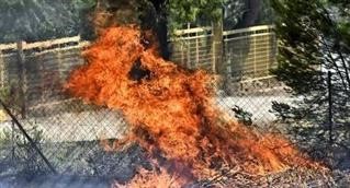  ΛΟΥΤΡΑΚΙ: Κάηκαν πάνω από 40 σπίτια και 15.000 στρέμματα