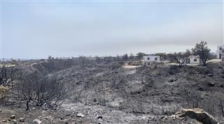 ΥπΑΑΤ: Τι ισχύει με τις αγροτικές αποζημιώσεις από τις πυρκαγιές 2023