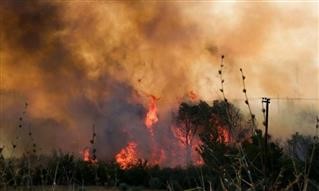 «Προβληματισμός» για τις ανεξέλεγκτες πυρκαγιές στον Έβρο