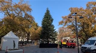 Την ερχόμενη Τετάρτη το άναμμα του Χριστουγεννιάτικου Δέντρου στην Κεντρική Πλατεία