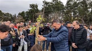  Με μεγάλη συμμετοχή του κόσμου η δενδροφύτευση στην οδό Θεοφράστου 