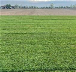 Στην τελική ευθεία το γήπεδο της Φαλάνης!