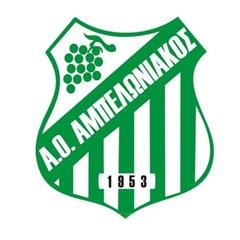 Αμπελωνιακός: Πορεία πρωταγωνιστή και ενίσχυση με ποιότητα και εμπειρία