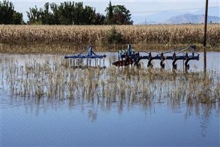  ΕΛΓΑ: Πιστώνονται 38 εκατ. ευρώ σε 12.195 πληγέντες για ζημιές 2024