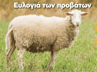 Σημεία απολύμανσης οχημάτων για τον περιορισμό της εξάπλωσης της ευλογιάς