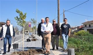 Νέα δέντρα στη Φαλάνη 