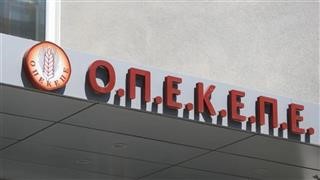 Διώξεις σε 22 πρόσωπα για τον ΟΠΕΚEΠΕ, μεταξύ τους 4 εν ενεργεία βουλευτές 